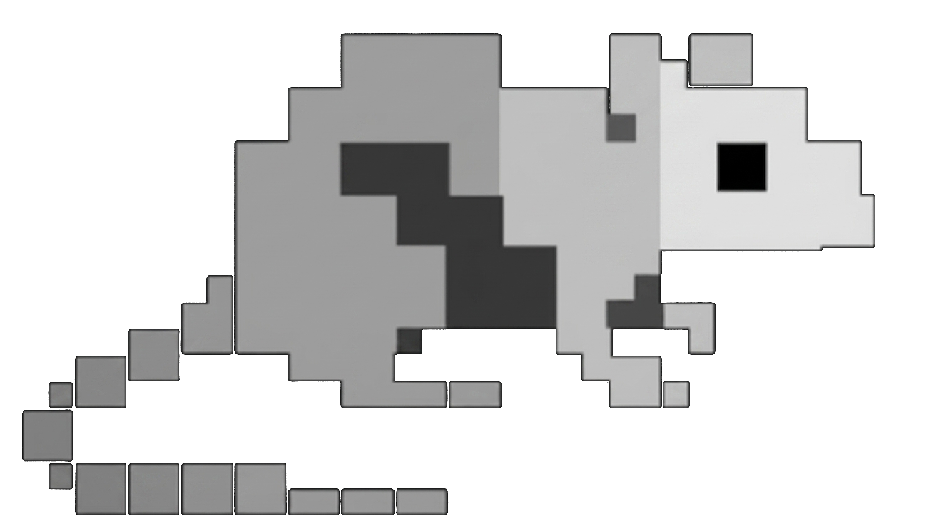 Rat